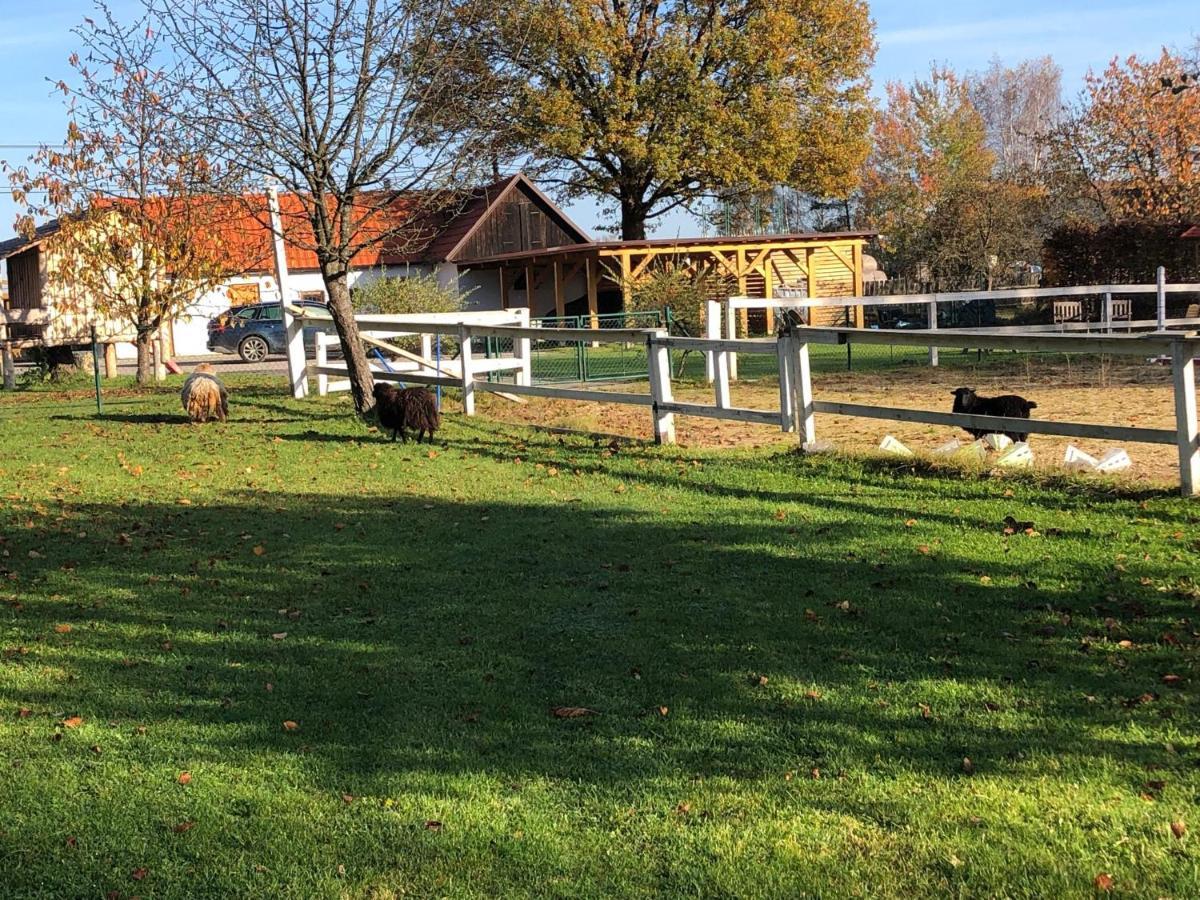Apartmany Kojakovice - Trebon Jílovice المظهر الخارجي الصورة